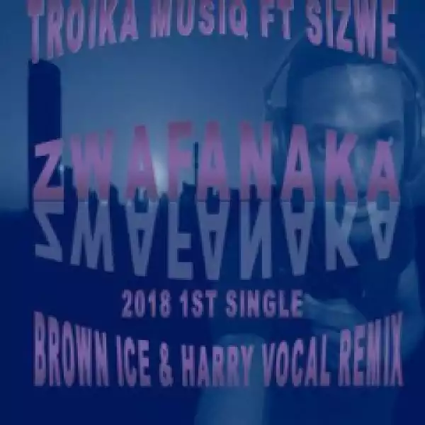Troika Musiq - Zwafanaka (Brown Ice & Harry Remix) Ft. Sizwe